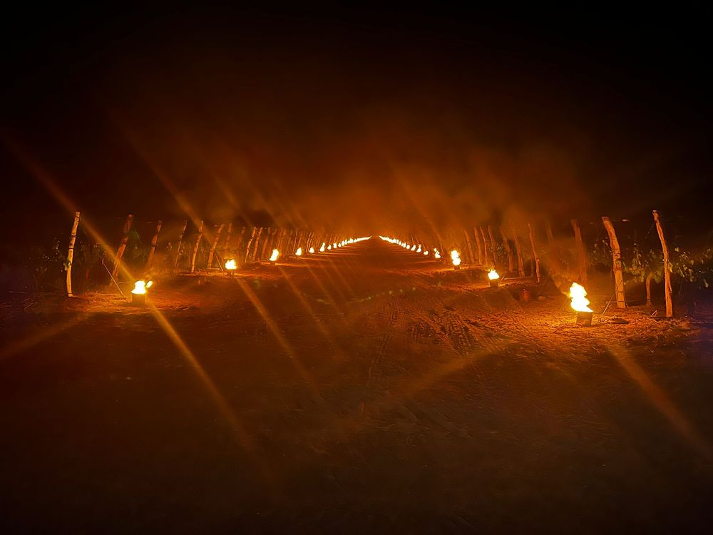 Defensas activas contras las heladas tardías se realiza mediante el encendido de tarros con combustible, una práctica tradicional que requiere control permanente.