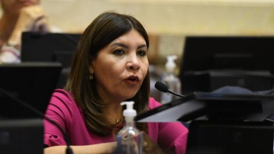 Sandra Mendoza, senadora tucumana del Frente de Todos.