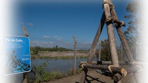 El servicio que prestaba el “pie de gallo” para derivar agua - Por Delia Segura