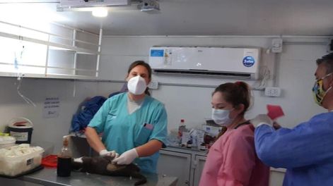 Los Andes | CHWXUBD3OBCK7PJGA4MJHJMU2Y.jpeg?quality=75&smart=true&auth=8ab33aaf73da3cdf0c84f40265d830c84e454f563aee5fdec531fed1661b225a&width=980&height=640