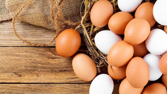 Fin de la discusión: ¿los huevos se guardan afuera o adentro de la heladera?