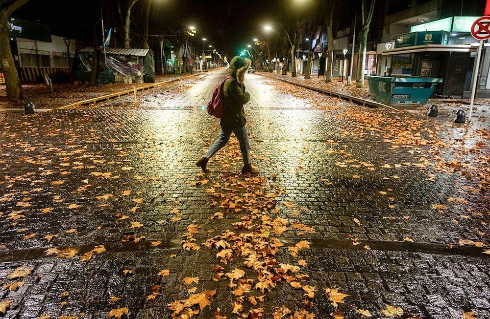 Las calles del la ciudad de Mendoza amanecieron con un colchón de hojas color ocre.Foto: Ignacio Blanco / Los Andes