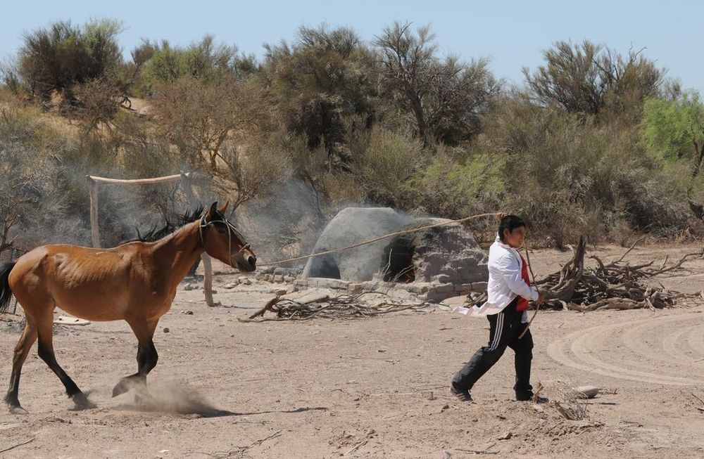 Un sanrafaelino se fracturó el cráneo luego de ser arrastrado por su caballo
