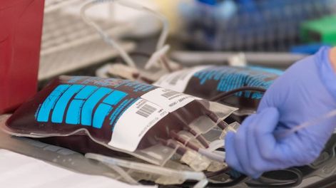 Los donantes voluntarios de sangre pasaron de 43% a 67% en Mendoza. Ya son casi 7 de cada 10.