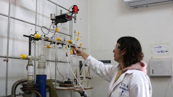 Olvidos argentinos: educación, ciencia  e inversión