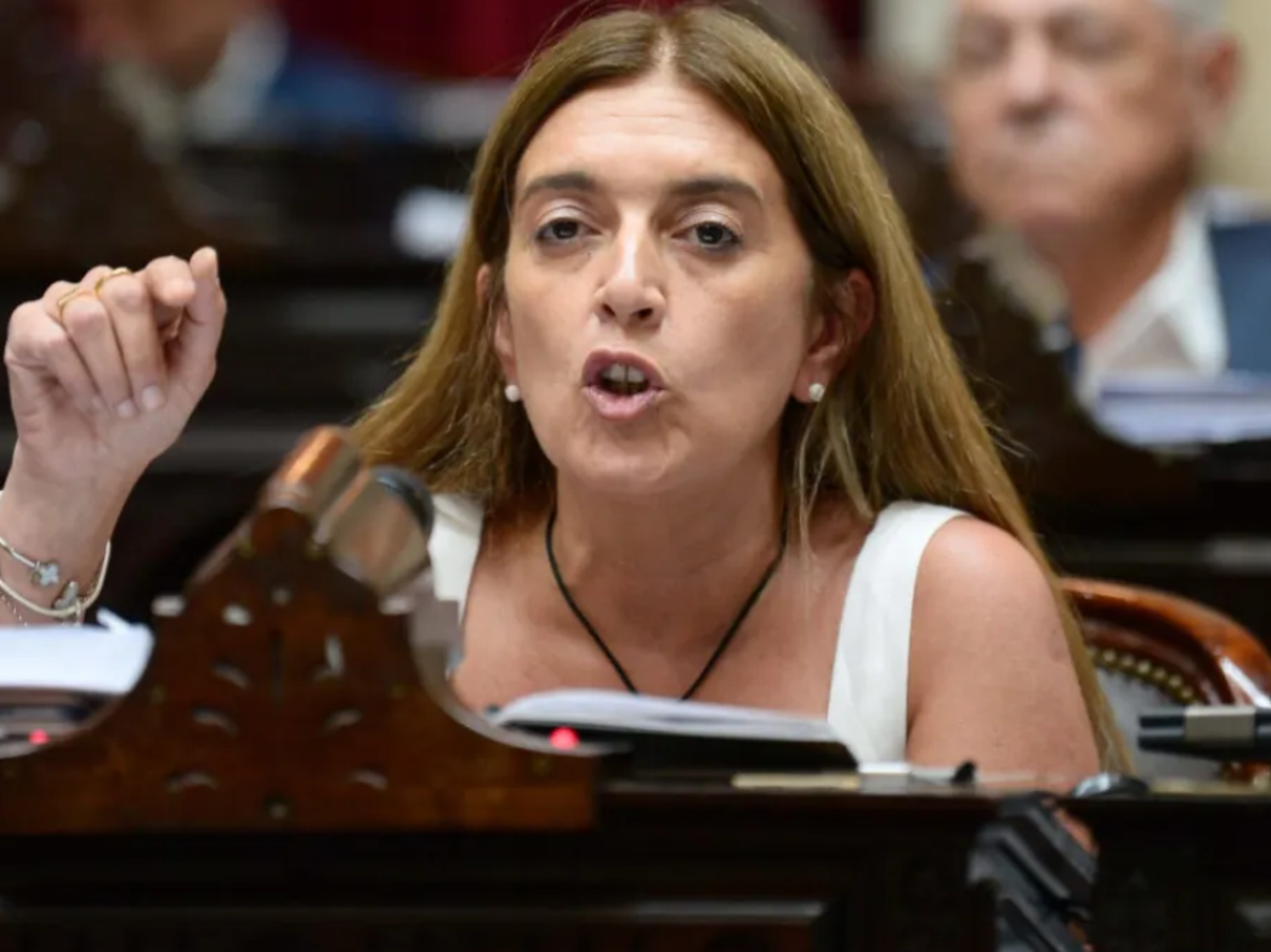 Danya Tavela, legisladora de la UCR dentro del bloque Democracia para Siempre en el Congreso.