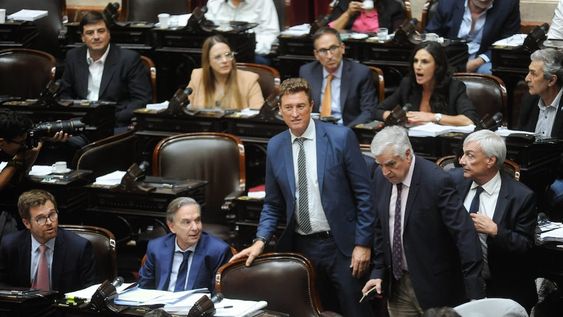 Diputados de Hacemos Coalición Federal, el bloque presidido por Miguel Pichetto (Foto: Federico López Claro)