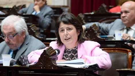Los Andes | La diputada entrerriana Carolina Gaillard, presidenta de la Comisión de Juicio Político