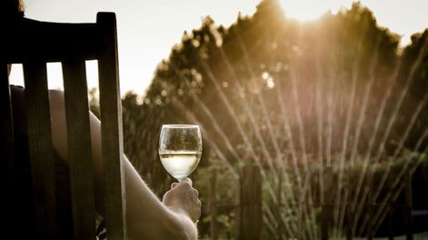Tres vinos dulces para disfrutar en verano