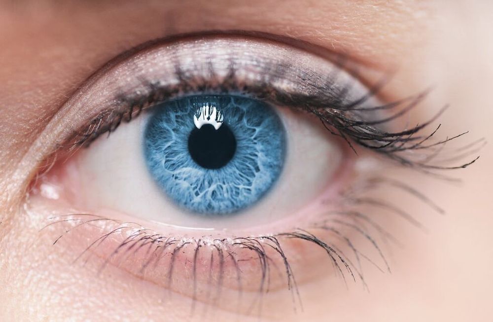 La prevención es fundamental para tener una buena salud visual.
