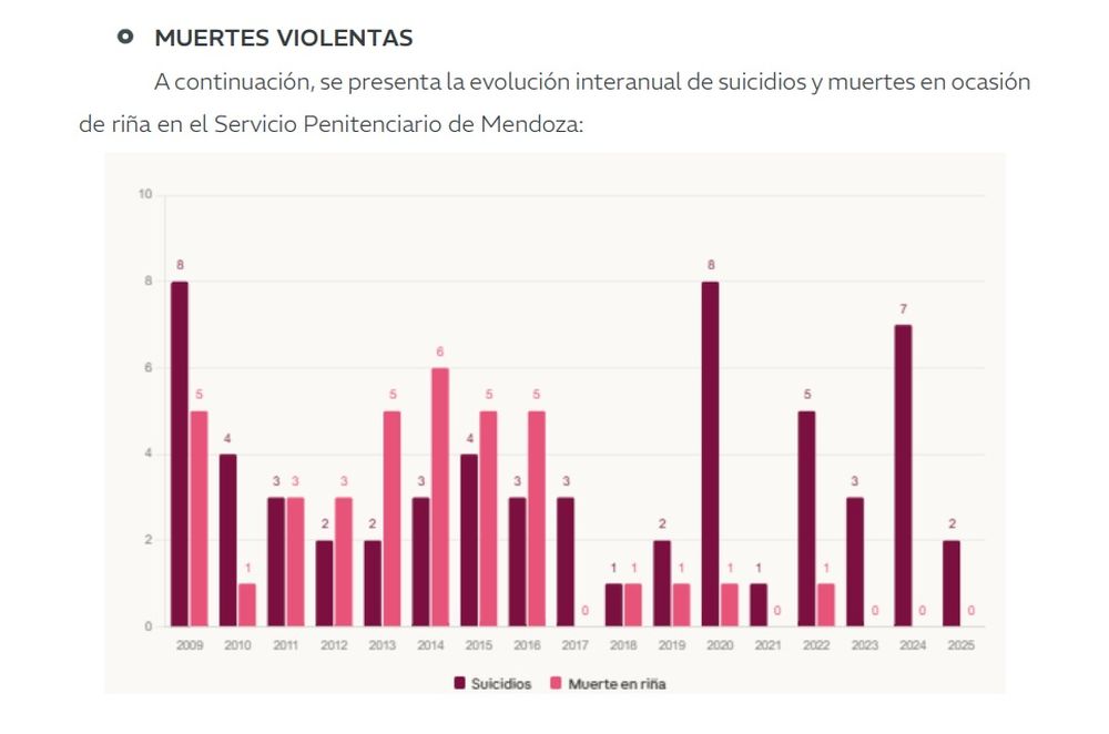 Las estad&iacute;sticas de muertes violentas en el Servicio Penitenciario de Mendoza.&nbsp;