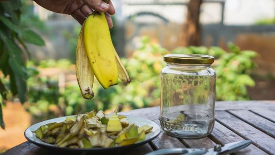 meter cascaras de banana en las macetas: mira por que se recomienda y para que sirve
