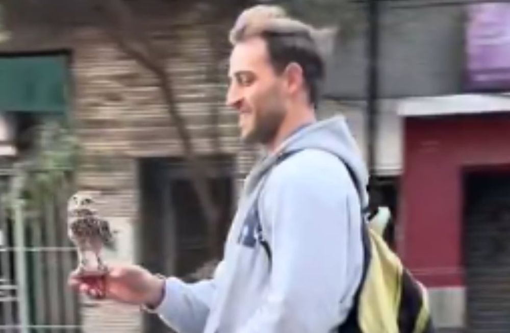 El joven dijo que su mascota se llama Andrés y que tiene una sola ala. Gentileza: Captura X @Bocmacoy.