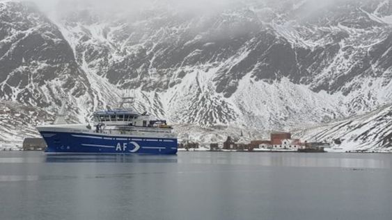 Pesca Malvinas - Buques palangreros de banderas de Territorios de Ultramar, pescan en Georgias del Sur y la zona. Pez Granadero y Merluza Negra son las principales especies explotadas.