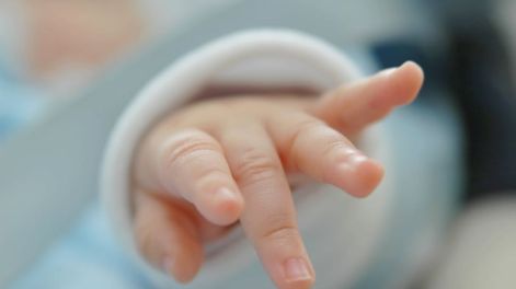 Cambio demográfico en Argentina: la natalidad cayó un 44% y los hogares sin niños menores representan el 57%