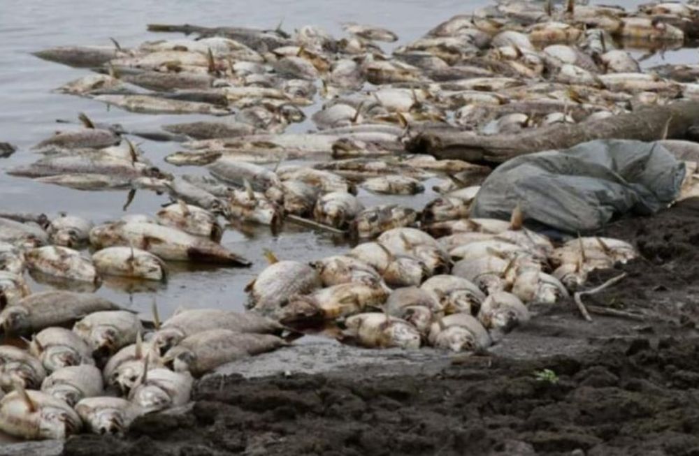 Las autoridades de la provincia de Santiago del Estero realizaron una denuncia penal y se constituyeron como querellantes del caso. Gentileza: El Liberal.