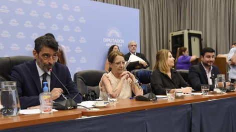 Los Andes | Los diputados Rodolfo Tailhade y María Luján Rey, presidentes de las comisiones de Justicia y de Legislación Penal (Foto: HCDN)