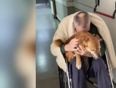 El emotivo reencuentro de un hombre y su perro en Argentina.