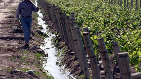 Renovación y alternancia dirigencial  en las entidades vitivinícolas
