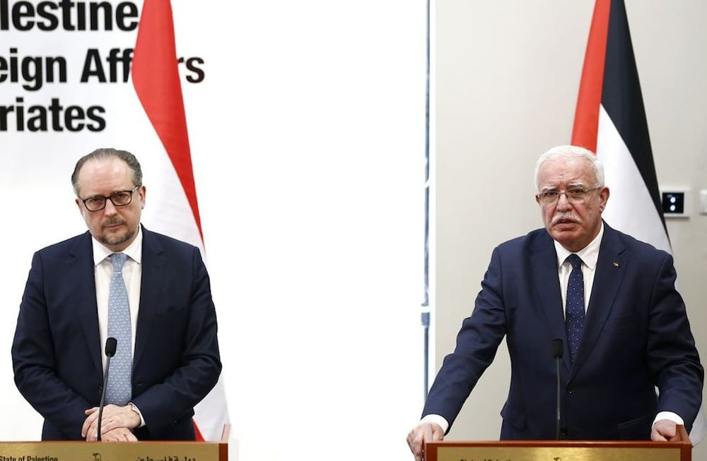 El Ministro de Relaciones Exteriores y Expatriados de Palestina, Riyad al-Malki, a la derecha, y su homólogo austriaco, Alexander Schallenberg, en una imagen de archivo.