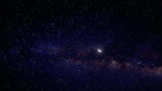 Piscis y los números encierran la clave del éxito: mirá lo que deparan para hoy