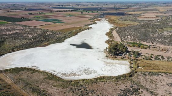 La Laguna del Viborón, un humedal clave que está al borde de la sequía absoluta y desaparición. Así se ve la imagen aérea con un dron. Foto: Claudio Gutiérrez / Los Andes.