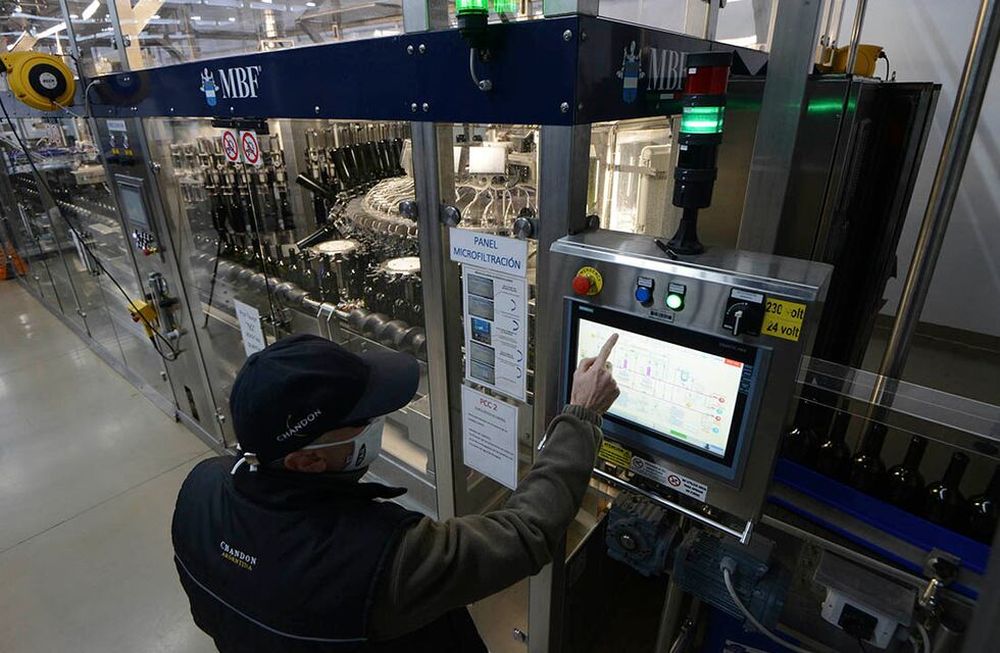 Por el momento las bodegas cuentan con un remanente de botellas para fraccionar, pero las soluciones no aparecen y hay temor por el futuro inmediato. / Foto: Claudio Gutiérrez