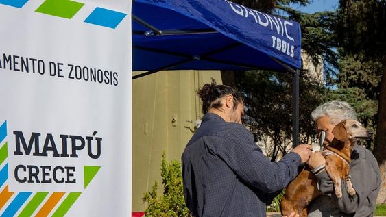 Maipú impulsa jornadas de vacunación a mascotas