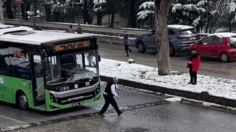 La guerra de bolas de nieve se volvió viral