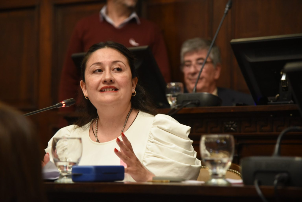 Senadora Jésica Laferte, presidenta de la comisión de Hidrocarburos, Minería y Energía