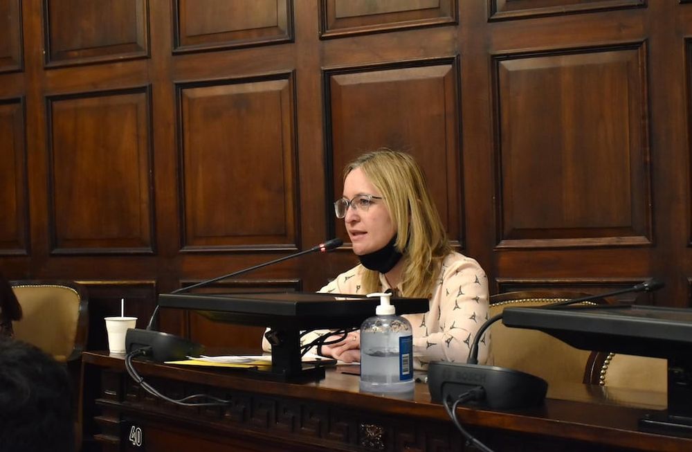 La discusión por la cuestión de privilegio de Hebe Casado luego de la comparación entre las 30 mil muertes a causa del Covid-19 y los desaparecidos en la dictadura se llevó media jornada.