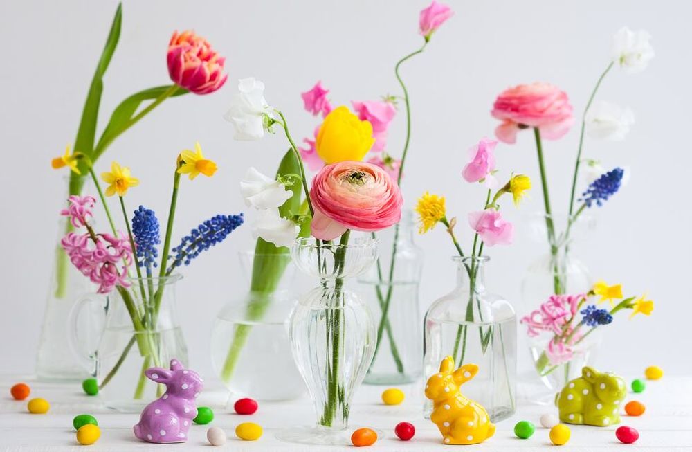 Si vas a separar unas cuantas rosas para poner en floreros, cortalas con la vara larga y cuando el pimpollo esté comenzando a abrir, ni antes ni después.