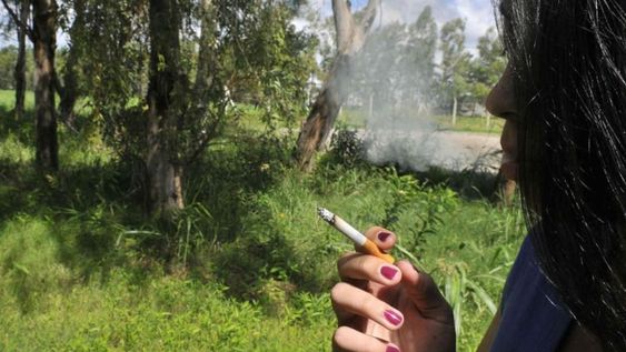 La Ciudad de Mendoza amplió la ordenanza y ahora está prohibido fumar en plazas, parques, paseos y otros espacios de convivencia. | Imagen ilustrativa / Web