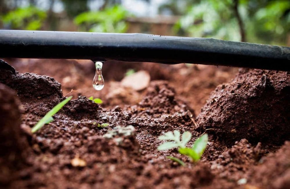 Crisis hídrica: productores de San Rafael se reúnen en busca de soluciones porque “el agua no va a alcanzar”