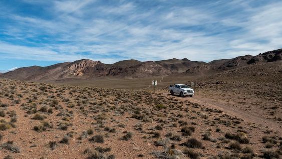 Mendoza 10 de junio de 2020 Sociedad, Reserva Natural Villavicencio, Pampa de Canota. El cuerpo de Guardaparques de la Reserva Natural Villavicencio realiza un atrabajo de conservacion y prevencion de la caceria ilegal. Gracias a este trabajo se comenzo a recuperar la poblacion de las destintas especies que habitan la montana mendocina.    Foto: Ignacio Blanco / Los AndesZorro