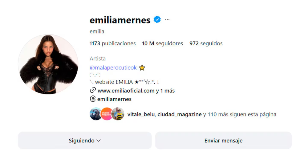 Emilia Mernes perdió miles de seguidores luego de que Tini y otras famosas le den la espalda.
