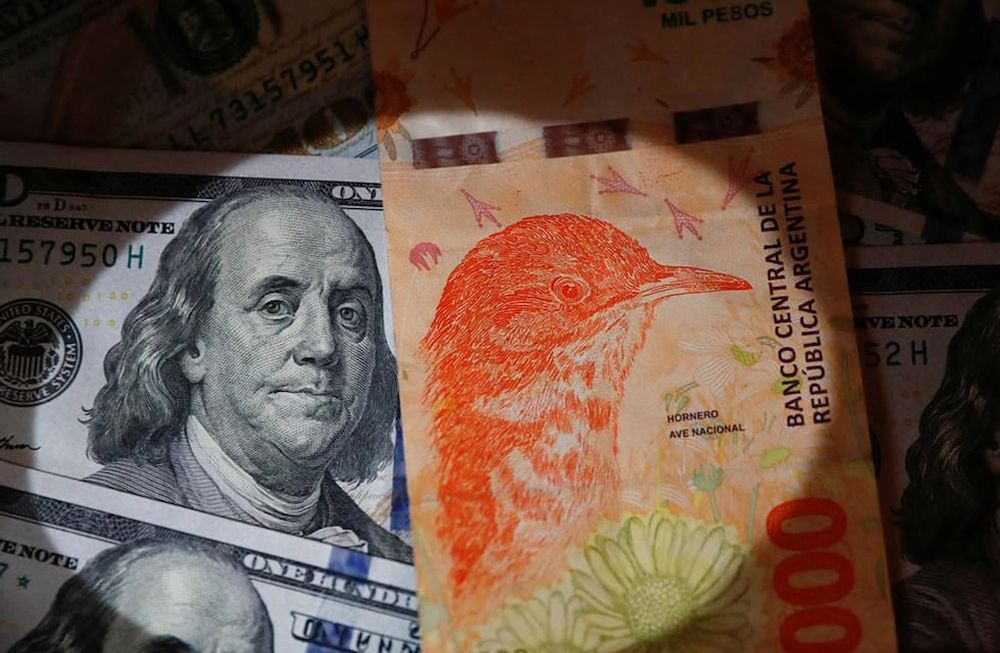 El Banco Central fijó en $ 350 el valor del dólar oficial, en una devaluación del peso de más del 20%. (Reuters)