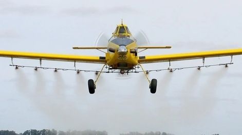 Descubrieron un compuesto natural con el mismo efecto herbicida que el glifosato