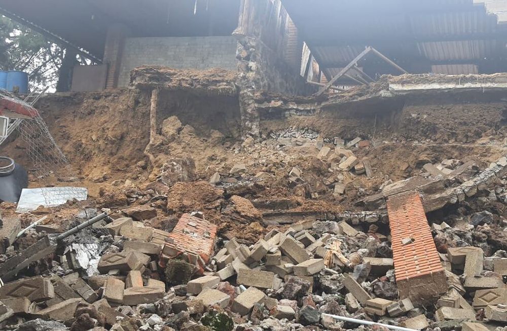 29 perros fueron rescatados luego de que un deslizamiento de tierra destruyera el albergue donde vivían.