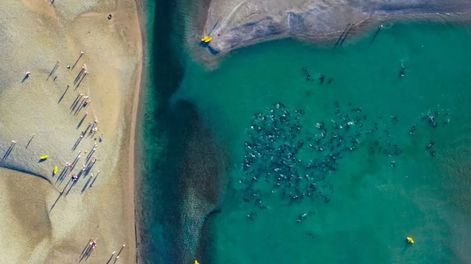 Con una “cadena humana” rescataron a más de 300 delfines que quedaron varados en Las Grutas. Foto: Sebastián Leal / Facebook.