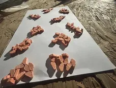 Operativos antidroga en Mendoza: secuestraron ketamina, éxtasis y MDMA y detuvieron a cinco personas.
