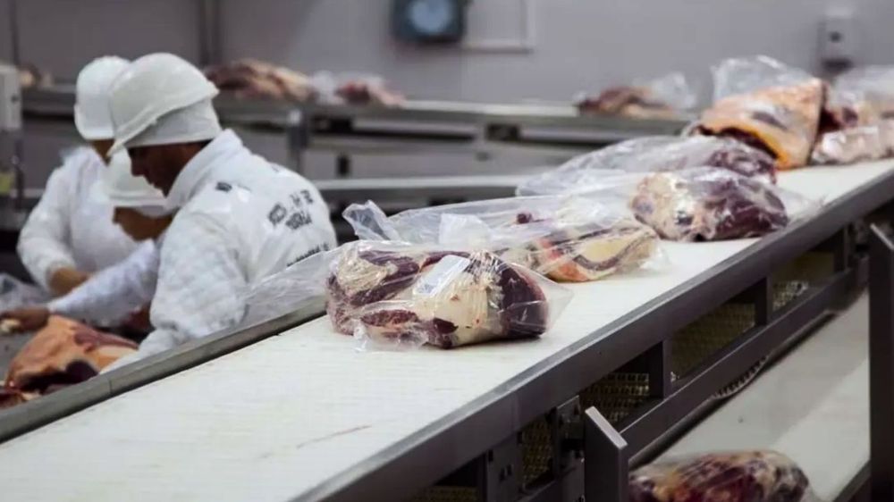Crecen las exportaciones argentinas hacia la Unión Europea.
