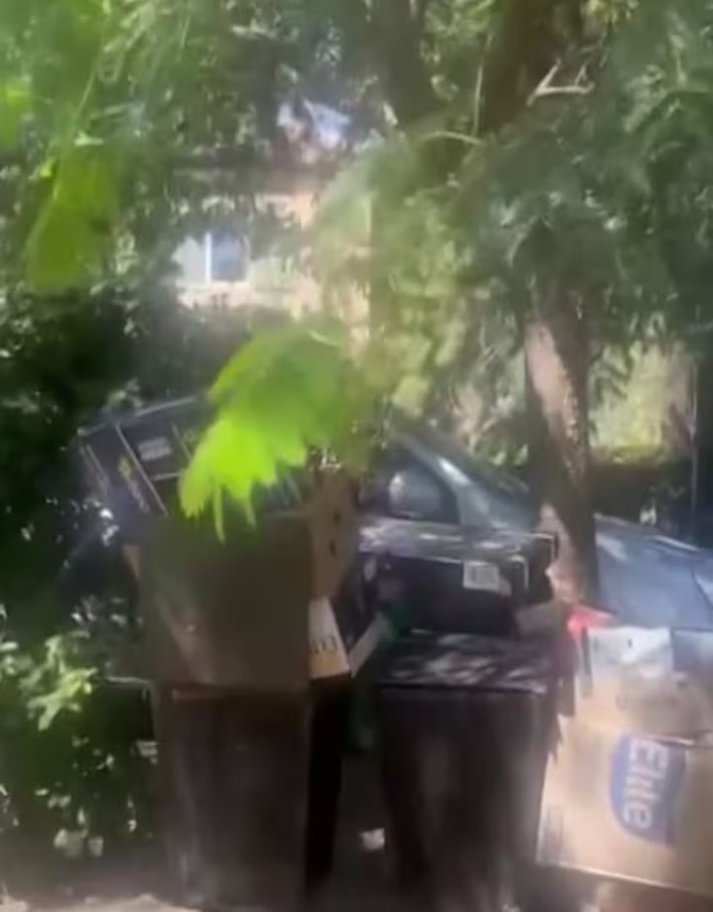 Los vecinos acusan a Maru Botana de dejar basura en la calle.