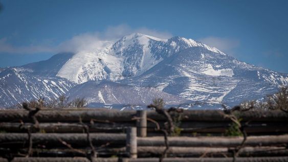 Bodega Atamisque y su nuevo lanzamiento para Argentina: Serbal Petit Verdot 2020