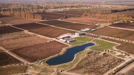 Un plano aéreo de Finca Victoria de Bodega Durigutti en Las Compuertas, Luján de Cuyo, la bodega argentina que llegó al puesto 10.