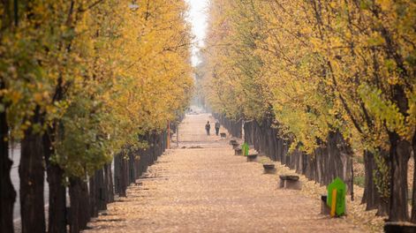 Se esperan temperaturas agradables para esta semana.Foto: Ignacio Blanco / Los Andes