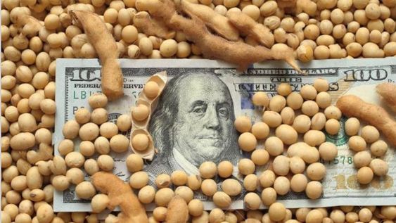 El campo ve algunas señales positivas y piensa en liquidar más exportaciones