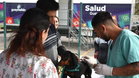 Los Andes | S5J2UM2FFREIVKG5GV46CRZN4I.JPG?quality=75&smart=true&auth=ea465e8253e529041cb8a2814011fcb3f266eb274fe5a35b3f565d6eb7c84034&width=980&height=640