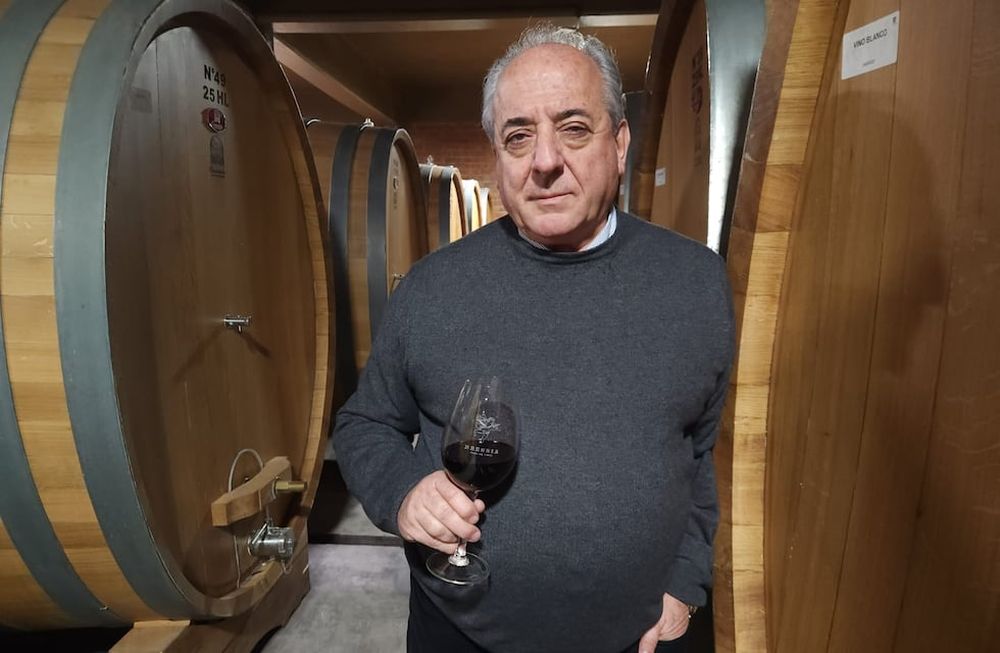 Walter Bressia, propietario de Bodega Bressia y presidente de Bodegas de Argentina, entidad que nuclea a 250 empresas de todas las zonas vitícolas del país,