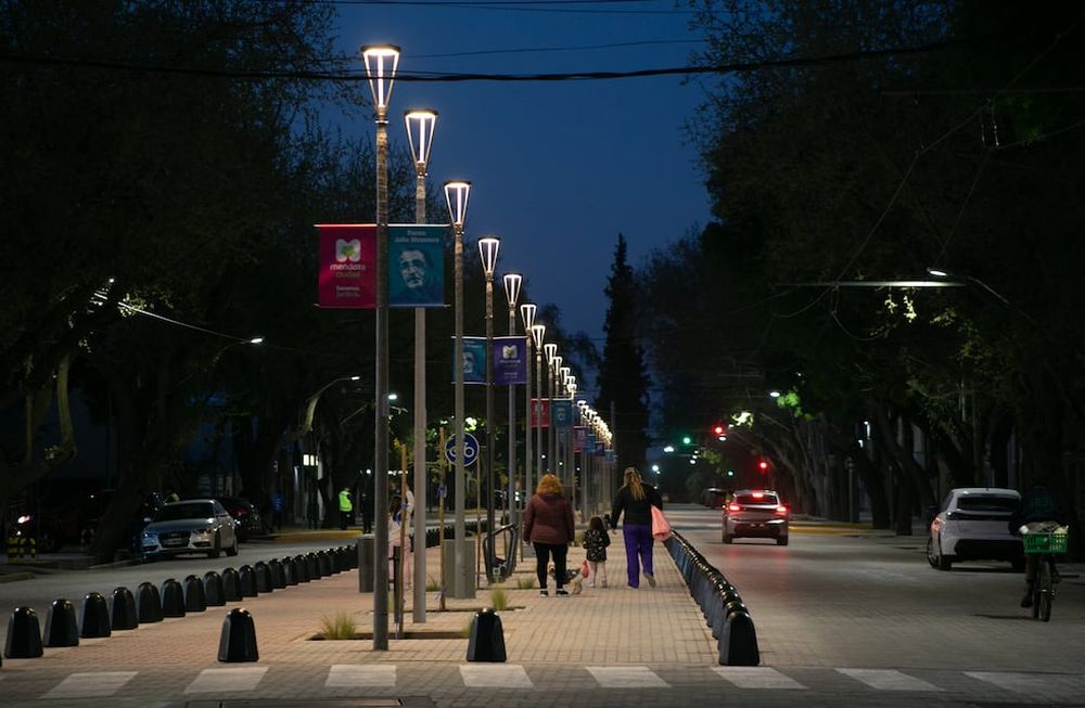 Calle Mitre tendrá un paseo peatonal primaveral el primer fin de semana de octubre
